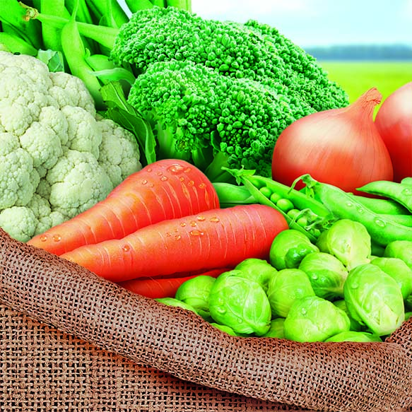 7 овощей оптом